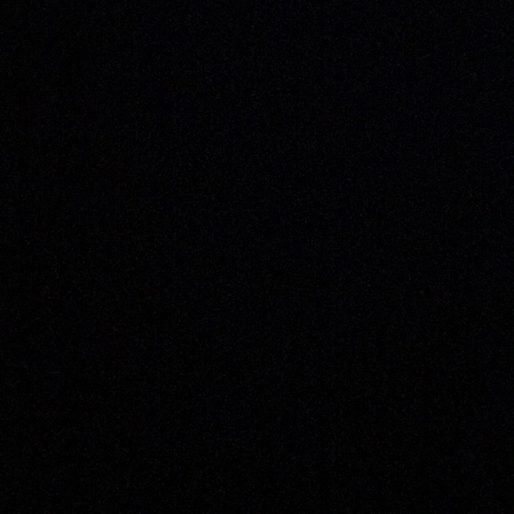 Meet your Posher, Layla - Picture 1 of 1